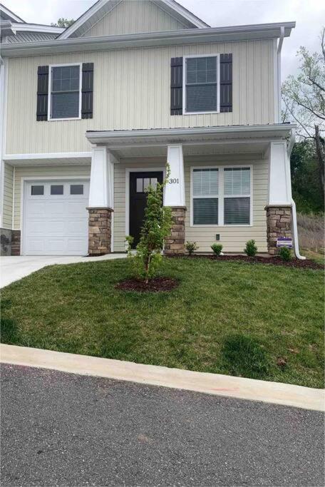 Newly Built Townhome Close To The Asheville Sites Candler Εξωτερικό φωτογραφία