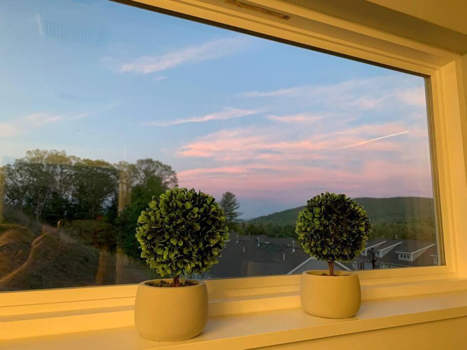 Newly Built Townhome Close To The Asheville Sites Candler Εξωτερικό φωτογραφία